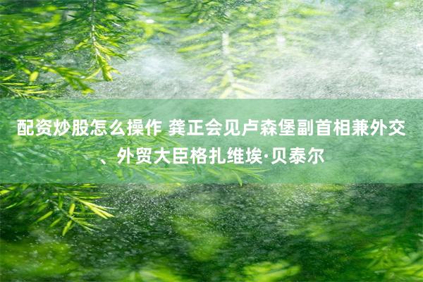 配资炒股怎么操作 龚正会见卢森堡副首相兼外交、外贸大臣格扎维埃·贝泰尔