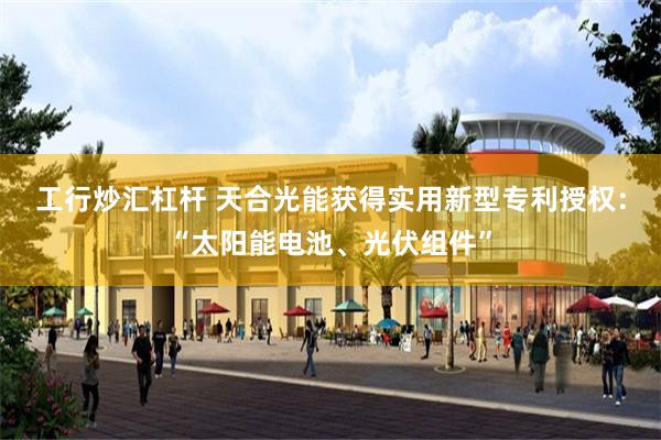 工行炒汇杠杆 天合光能获得实用新型专利授权：“太阳能电池、光伏组件”