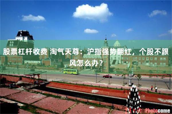 股票杠杆收费 淘气天尊：沪指强势翻红，个股不跟风怎么办？