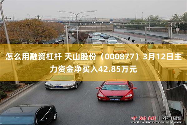 怎么用融资杠杆 天山股份（000877）3月12日主力资金净买入42.85万元