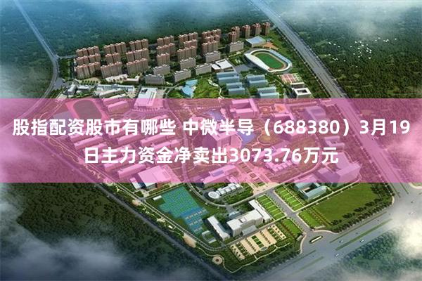 股指配资股市有哪些 中微半导（688380）3月19日主力资金净卖出3073.76万元
