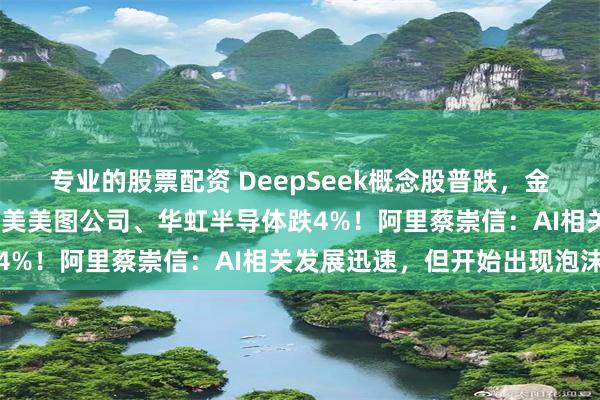 专业的股票配资 DeepSeek概念股普跌，金山云跌5%，万国数据、美美图公司、华虹半导体跌4%！阿里蔡崇信：AI相关发展迅速，但开始出现泡沫