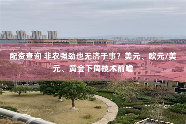 配资查询 非农强劲也无济于事？美元、欧元/美元、黄金下周技术前瞻
