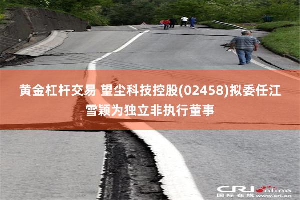 黄金杠杆交易 望尘科技控股(02458)拟委任江雪颖为独立非执行董事