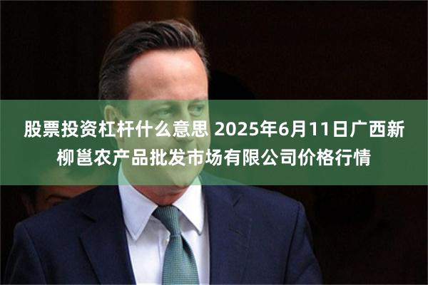 股票投资杠杆什么意思 2025年6月11日广西新柳邕农产品批发市场有限公司价格行情