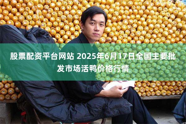 股票配资平台网站 2025年6月17日全国主要批发市场活鸭价格行情