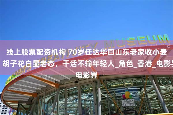 线上股票配资机构 70岁任达华回山东老家收小麦，胡子花白显老态，干活不输年轻人_角色_香港_电影界