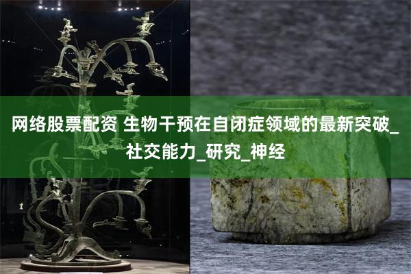 网络股票配资 生物干预在自闭症领域的最新突破_社交能力_研究_神经