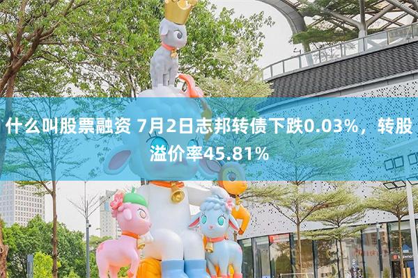 什么叫股票融资 7月2日志邦转债下跌0.03%，转股溢价率45.81%