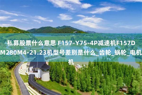 私募股票什么意思 F157-Y75-4P减速机F157DM280M4-21.23机型号差别是什么_齿轮_蜗轮_电机
