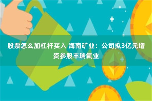股票怎么加杠杆买入 海南矿业：公司拟3亿元增资参股丰瑞氟业